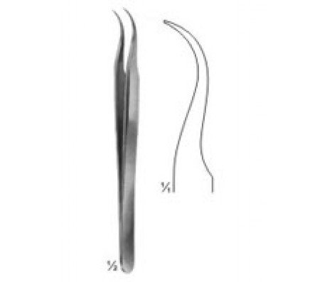 Forceps